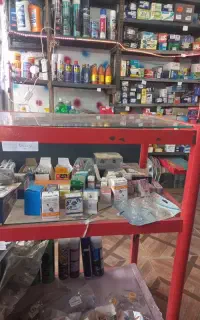 شریک یا سرمایه گذار
