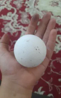 سنگ آسیاب اصل