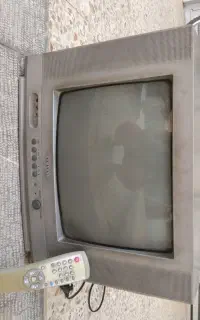 تلوزیون