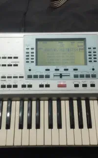 اورگ پی۵۰درحدpa50
