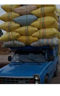 فروش کاه کندم