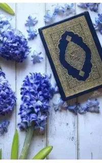 طالع بینی وسرکتاب