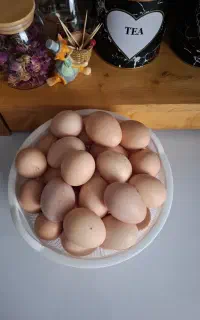 تخم مرغ محلی