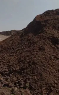 کود گاوی