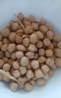 نخود دیم امسال هست تازه خوش تم