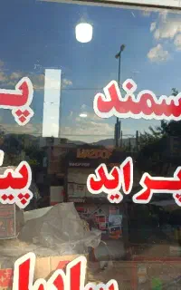 ویزیتور خانم