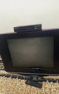 تلویزیون