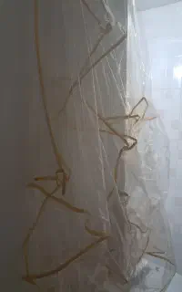 کاور مبل