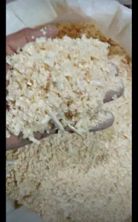 پوشال سفید روس