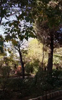 راهنمایی و مشورت