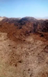 کوددهی وتعویض خاک