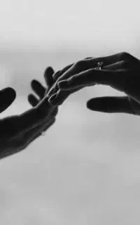 همکاری با زوج مدل برای پروژه عکاسی (TFP)