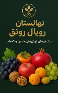 نهال هلو شلیل گوجه سبز توت انگور