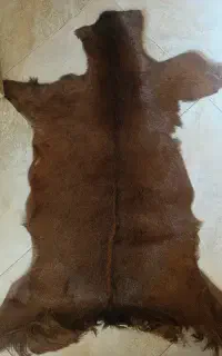 پادری پوست