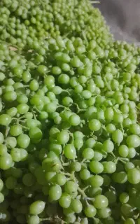 غوره