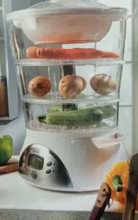 بخار پز