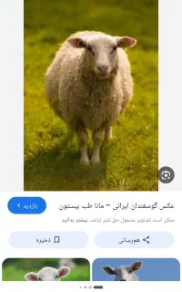 کارگر چوپان
