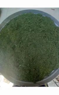 نعنا خشک وشوید