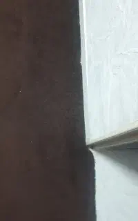 پالاز موکت