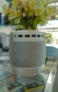 ویدیو پروژکتور خانگی