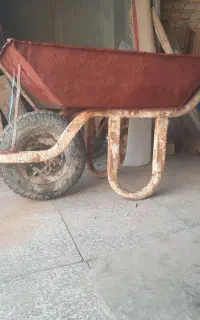 فرغون