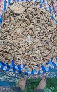 نان خشک تروتمیز دارم ۳تاچهارکیسه هس