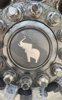 تریلی کفی