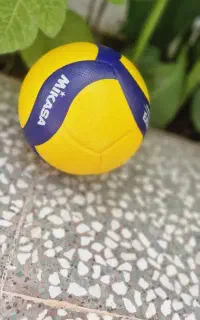 توپ والیبال