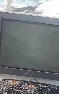 تلویزیون