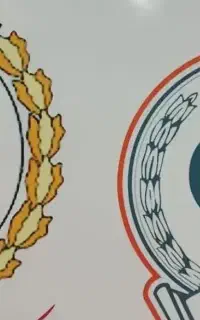 ضامن برای زرین