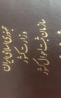 شناسنامه پیدا شده
