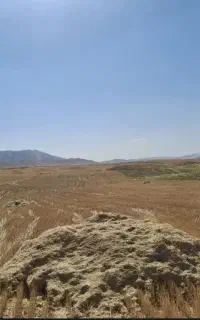 70 باک کاه گندم