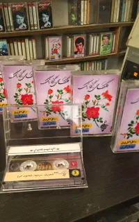 مجموعه برنامه گل‌های رنگارنگ شجریان