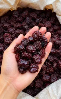 الو خورشتی