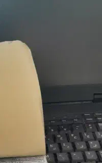 خدمات کافی نت