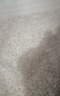 پسته امسال