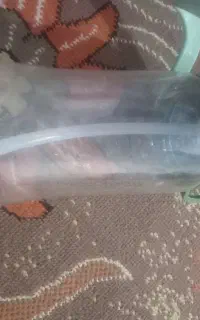 قمقمه خارجی