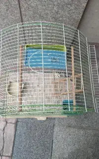 قفس پرنده