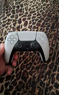 دستهps5