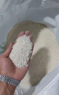 برنج تایلندی اصل