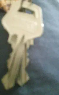 دسته کلیدگم شده