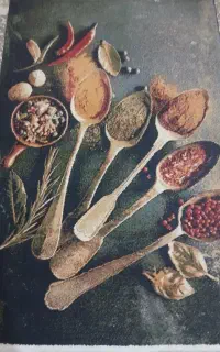 فرش وپادری