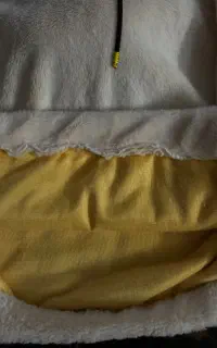 هودی