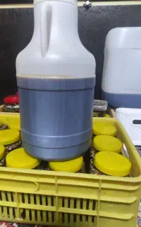 شیره خرما سنتی