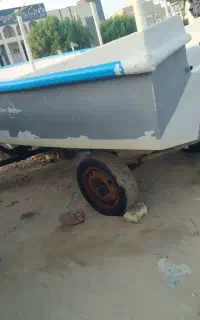 تشت وگاری