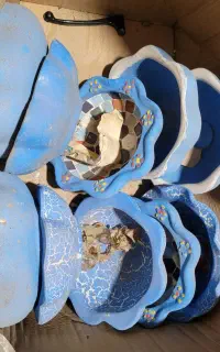 حوض ماهی