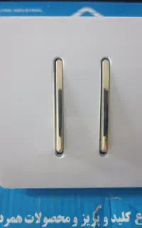 asyaelecteric