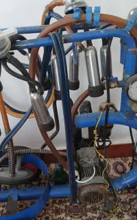 شیردوش