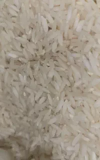 عرضه برنج خالص درجه۱ هاشمی/طارم