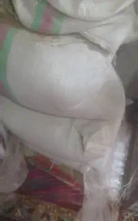 گندم